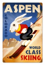Retro Ski Aspen Tin Sign